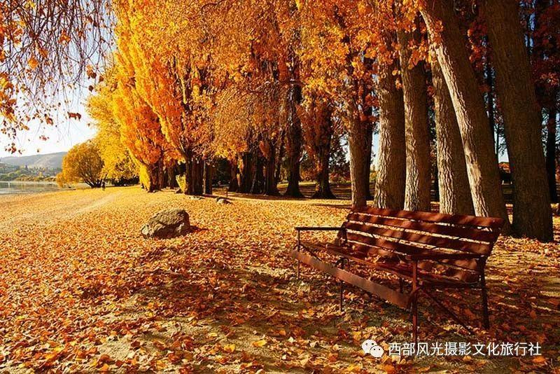 南京浦口区:垃圾分类志愿服务助力老街打造精品街巷