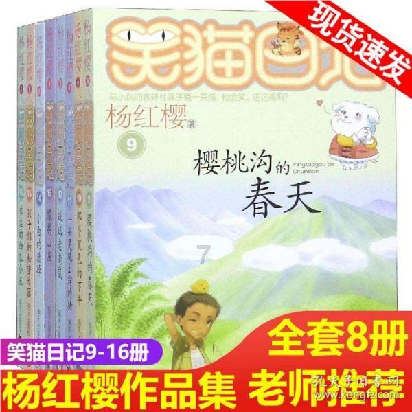 时尚太阳眼镜