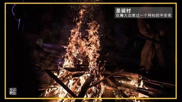 小猫钓鱼游戏龙王版有船