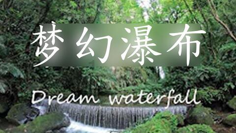 创作猫