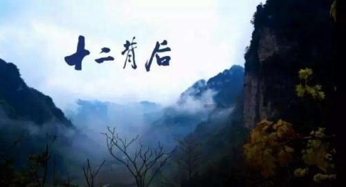 创作猫