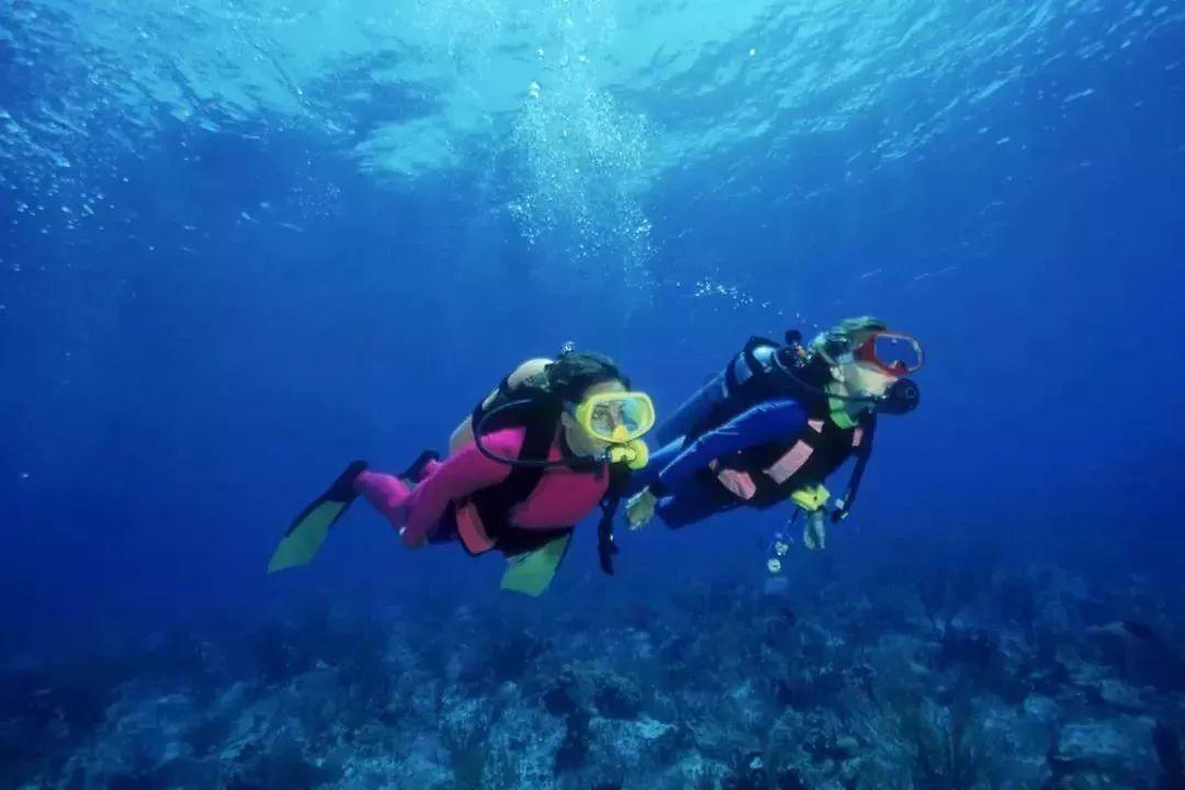 赖斯：阿森纳的不败纪录令人难以置信，团队的多样性非常重要