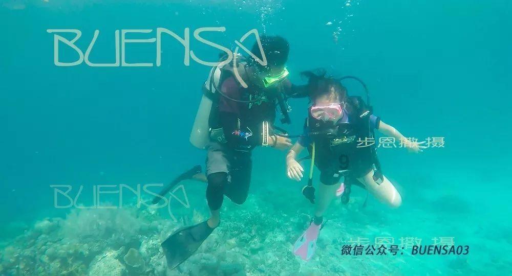 全民剧本大师内置菜单