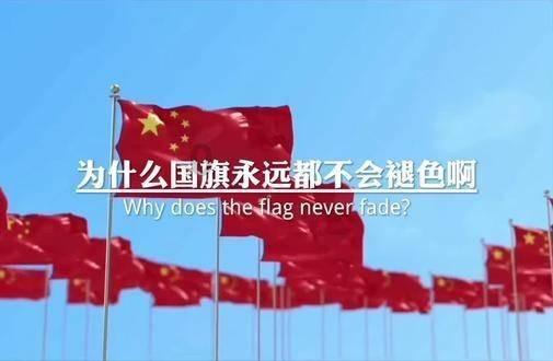 备孕必喝的虫草海马护阳汤