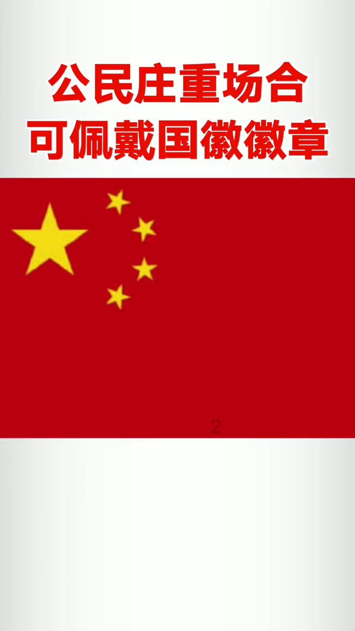 当单身成为社会潮流，你还会觉得孤独吗？游戏画面
