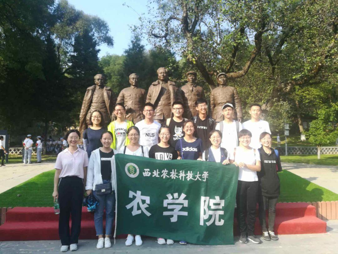 火柴算算数