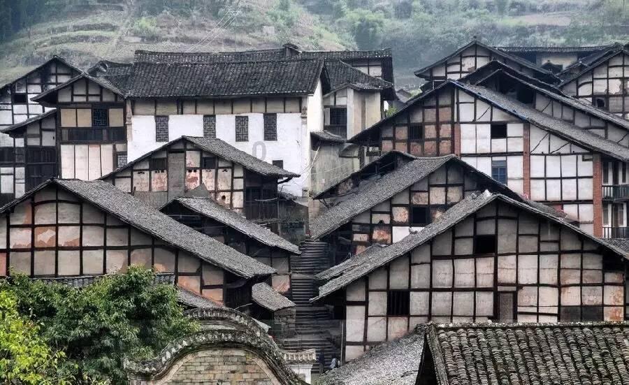 永清:无土水培种植技术促进农业提质增效